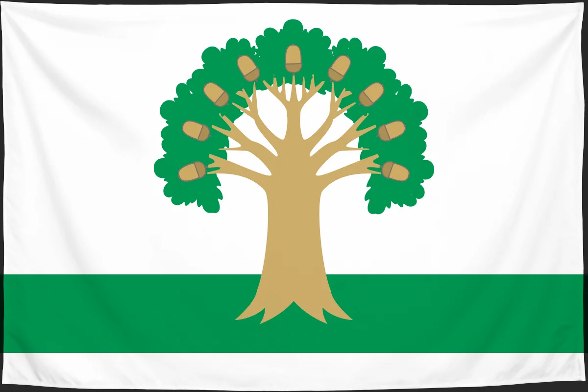 Флаг: Архангельский район